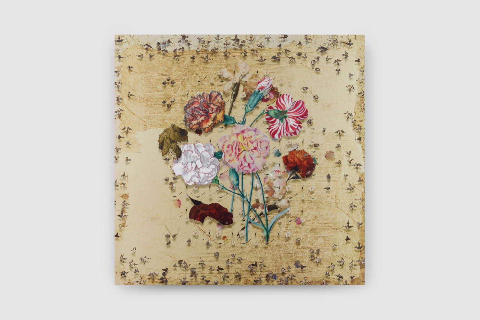 "NOBLEcurve" featuring Petra Cortright