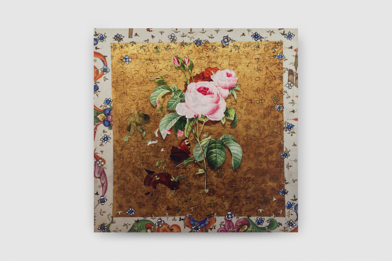 "NOBLEcurve" featuring Petra Cortright