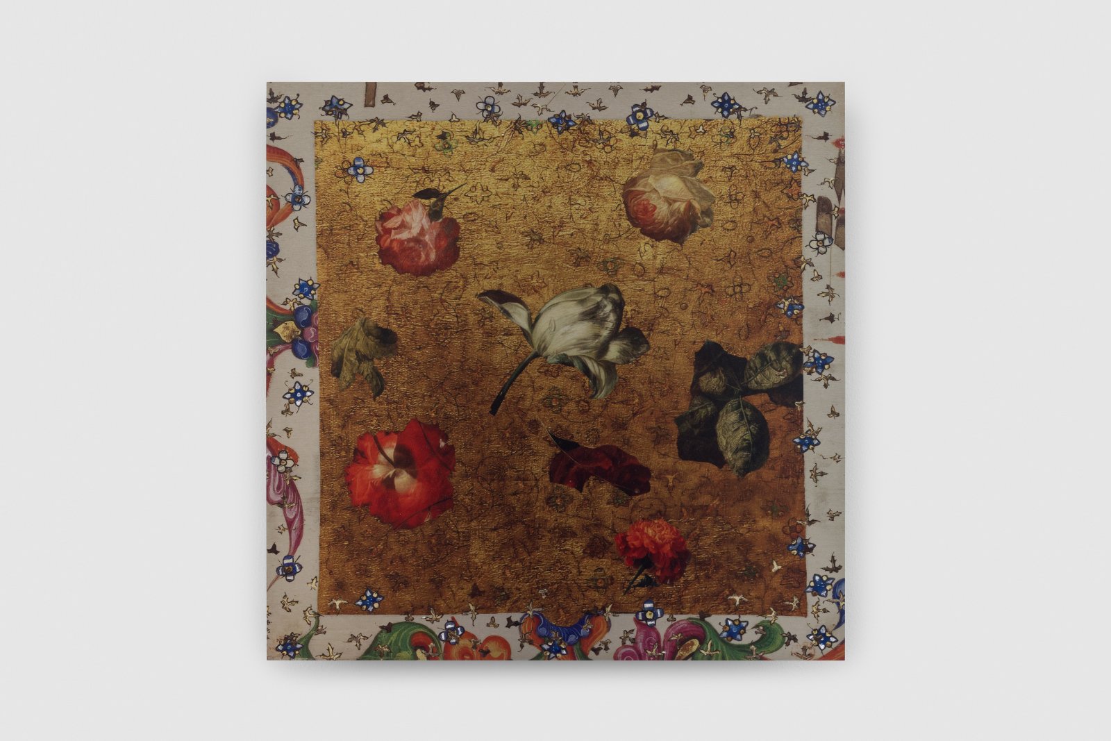 "NOBLEcurve" featuring Petra Cortright
