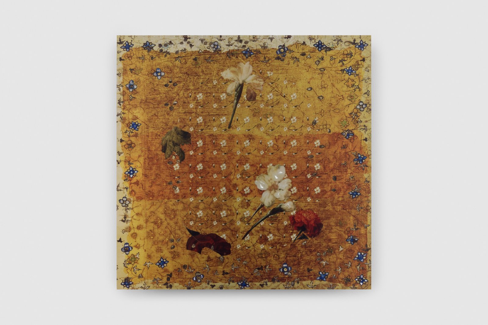 "NOBLEcurve" featuring Petra Cortright