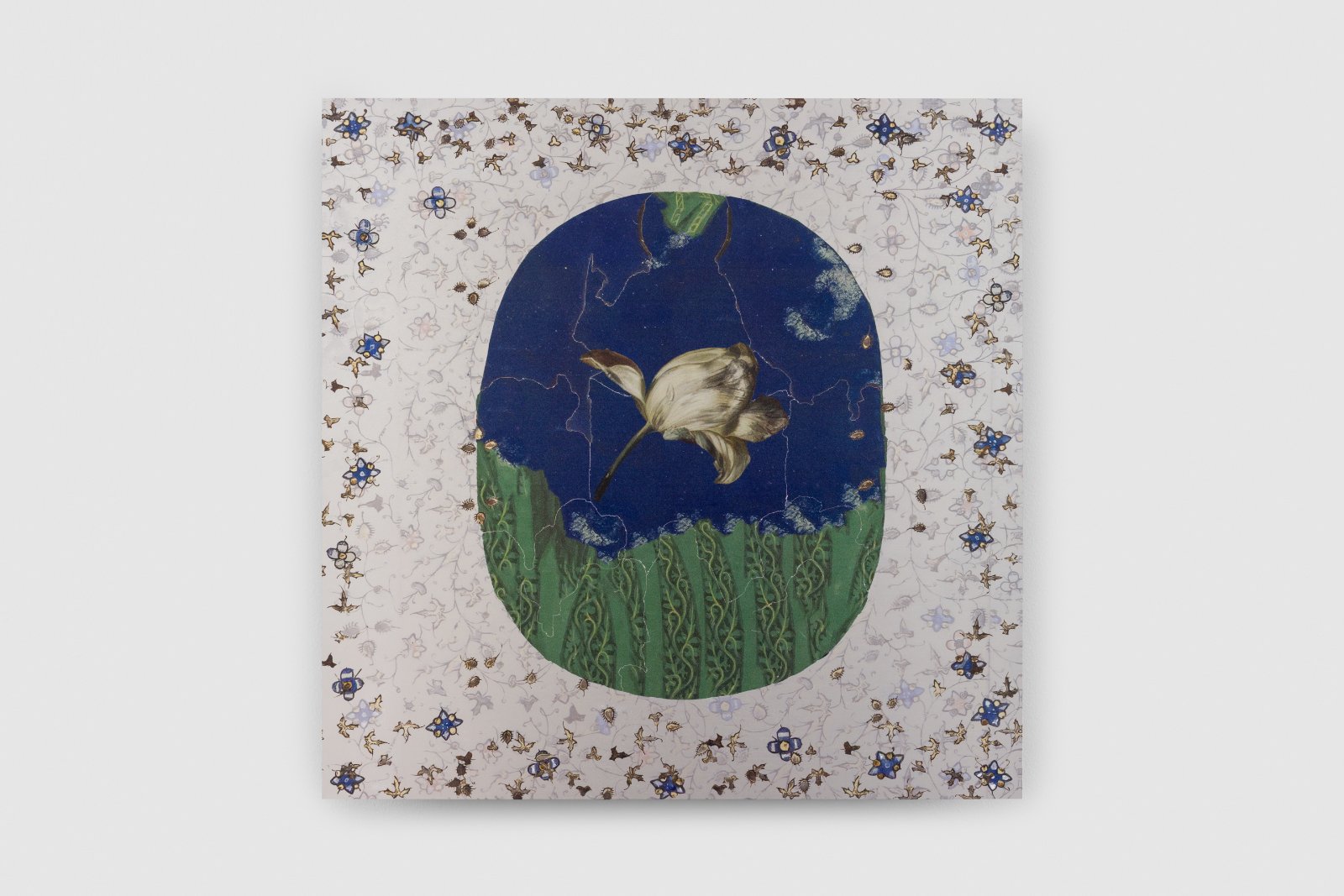 "NOBLEcurve" featuring Petra Cortright