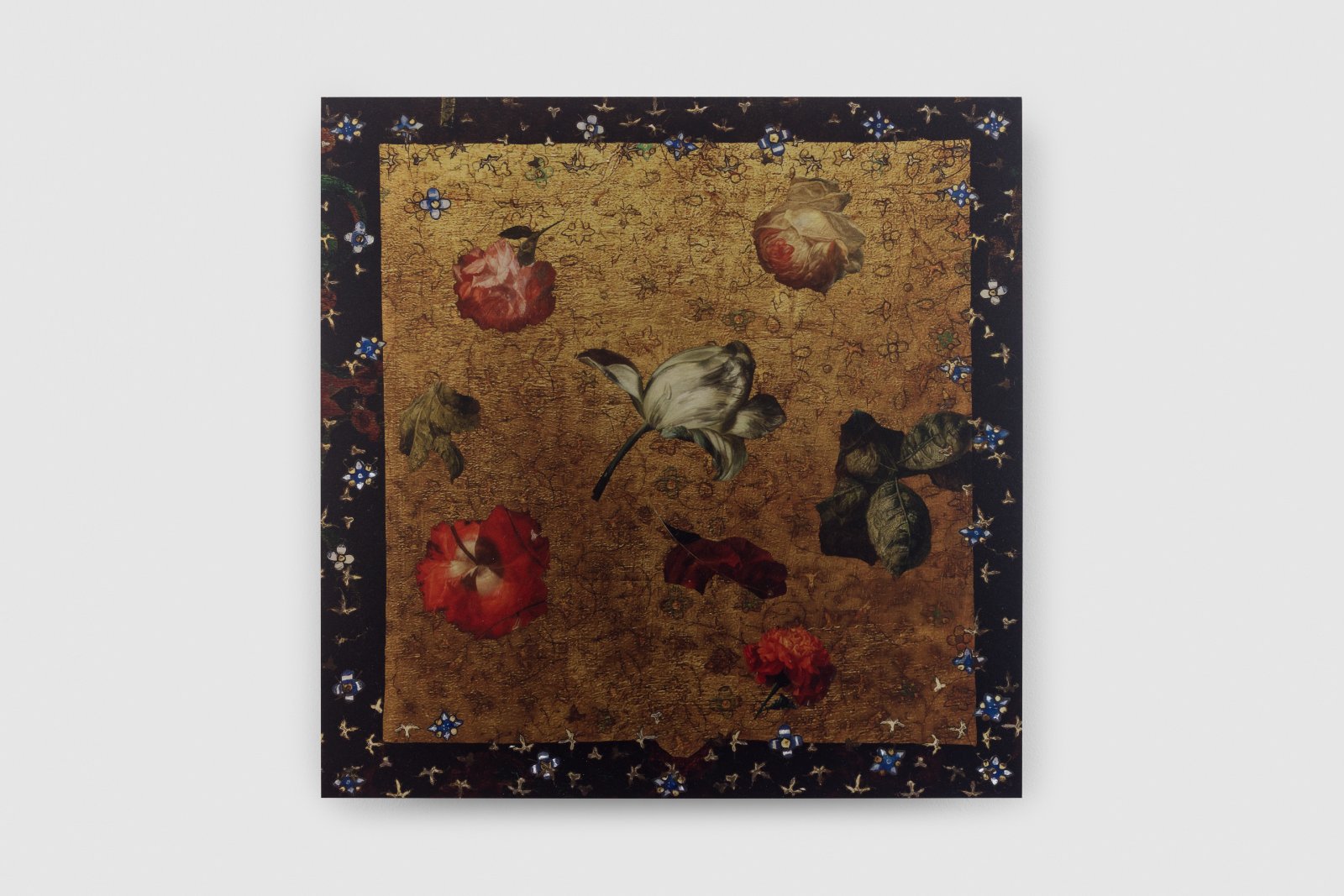 "NOBLEcurve" featuring Petra Cortright